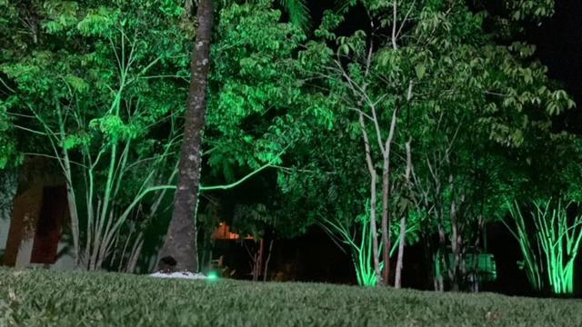 Bons Ventos Camping E Glamping Barra Grande  Dış mekan fotoğraf